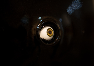 Illustration for article titled Opto-Isolator: An Arty Eye That Really Does Follow You Around the Room